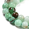 Natural Chrysoprase Beads Strands G-P503-8MM-03-4