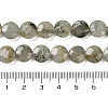 Natural Labradorite Beads Strands G-K357-B03-01-5
