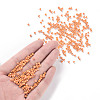8/0 Glass Seed Beads SEED-US0003-3mm-130-4