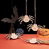 Spider Shape Halloween Blank Wooden Cutouts Ornaments WOOD-L010-02-5
