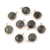 Natural Labradorite Charms G-Q998-026E-3