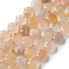 Natural Cherry Blossom Agate Beads Strands G-H344-B01-01-2