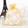 Rectangle Organza Bags with Glitter Sequins X-OP-R020-10x12-07-1