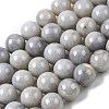 Natural Gemstone Beads Strands G-L641-A01-05-2