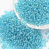 6/0 Transparent Glass Round Seed Beads SEED-J010-F6-23-1