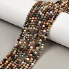 Natural Alashan Agate Beads Strands G-C181-B05-02-01-1
