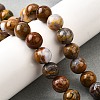Natural African Opal Beads Strands G-S390-06-10mm-1