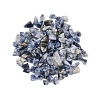 Natural Blue Spot Jasper Beads G-K397-02-2