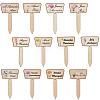 2 Bags Wooden Plant Labels DIY-CP0012-70-1