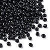 1300Pcs 6/0 Glass Seed Beads SEED-YW0002-22A-2