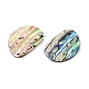 Natural Paua Shell Pendants SHEL-T020-12-2