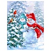 Christmas Snowman DIY Diamond Painting Kit PW-WGE6257-06-1