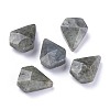 Natural Labradorite Pendants G-L564-002-C01-1