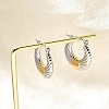 304 Stainless Steel Two Tone Hoop Earrings EJEW-F355-03GP-02-3