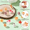 40Pcs 8 Styles Mushroom Themes Resin Display Decorations DJEW-YW0010-11-3