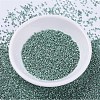 MIYUKI Delica Beads X-SEED-J020-DB0416-2