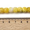 Dyed & Heated Natural Fire Crackle Agate Beads Strands G-NH0067-A01-4