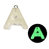 Luminous Resin Pendants RESI-I059-A02-1