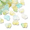 Gradient Color Transparent Acrylic Beads X1-OACR-M023-05C-1