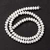 Natural Trochid Shell/Trochus Shell Beads Strands SSHEL-O001-24A-02-2