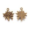 Tibetan Style Alloy Pendants TIBEP-A113357-AB-FF-2