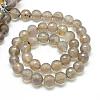 Natural Grey Agate Bead Strands G-R346-6mm-27-2