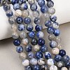 Natural Sodalite Beads Strands G-S279-10-8mm-8