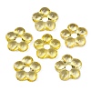 Transparent Glass Beads GLAA-F129-01M-1