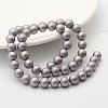 Round Shell Pearl Frosted Beads Strands BSHE-F013-06C-8mm-2