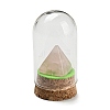 Natural Rose Quartz Pyramid Display Decoration with Glass Dome Cloche Cover DJEW-B009-01D-1