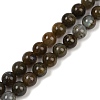 Natural Labradorite Beads Strands LS-G-I253-01-8mm-2