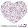 500G Natural Amethyst Chip Beads G-SP0001-09-1