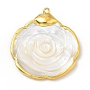 Natural Shell Pendants KK-G409-12G-2