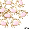 10Pcs Eco-Friendly Zinc Alloy Pendants FIND-YW0006-37B-1
