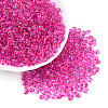 3/0 Baking Paint Glass Fringe Seed Beads SEED-A034-04D-3