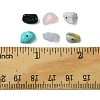 60G 6 Styles Natural & Synthetic  Gemstone Beads Chips G-FS0005-80-5