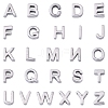 304 Stainless Steel Charms STAS-YW0004-01P-1