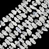 Natural Rainbow Moonstone Beads Strands GG-CBA3A44-A01-01-2