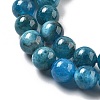 Natural Apatite Beads Strands G-O186-G01-01-3