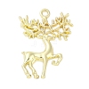 Alloy Pendants LS-FIND-K018-02G-1