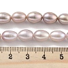 Natural Cultured Freshwater Pearl Beads Strands PEAR-P062-10E-5