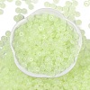 Transparent Colours Glass Seed Beads SEED-P008-01B-03-3