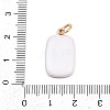 Brass Enamel Pendants LS-ENAM-I087-03A-3