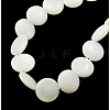 Natural Shell Beads Strands X-PBB-XXBK023Y-13-1