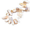 Natural Trochid Shell/Trochus Shell Beads Strands SHEL-S258-082-A01-4