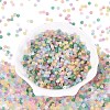 FGB Frosted Transparent Glass Seed Beads SEED-N013-02A-2