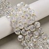 Natural Quartz Crystal Beads Strands G-K387-A16-02-1