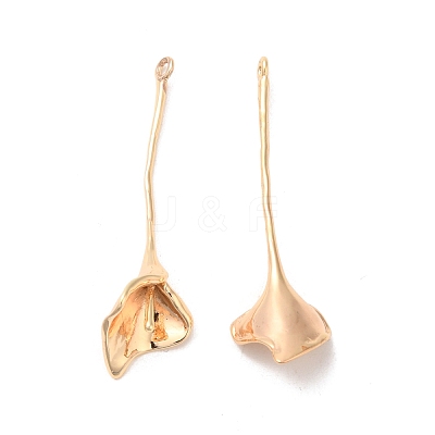 Brass Pendants KK-G468-02G-1