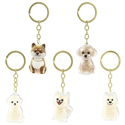 Iron Plastic Keychains LS-KEYC-FZC0001-001B-G-1