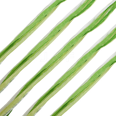 Raffia Twine Yarn OCOR-TAC0025-009D-1